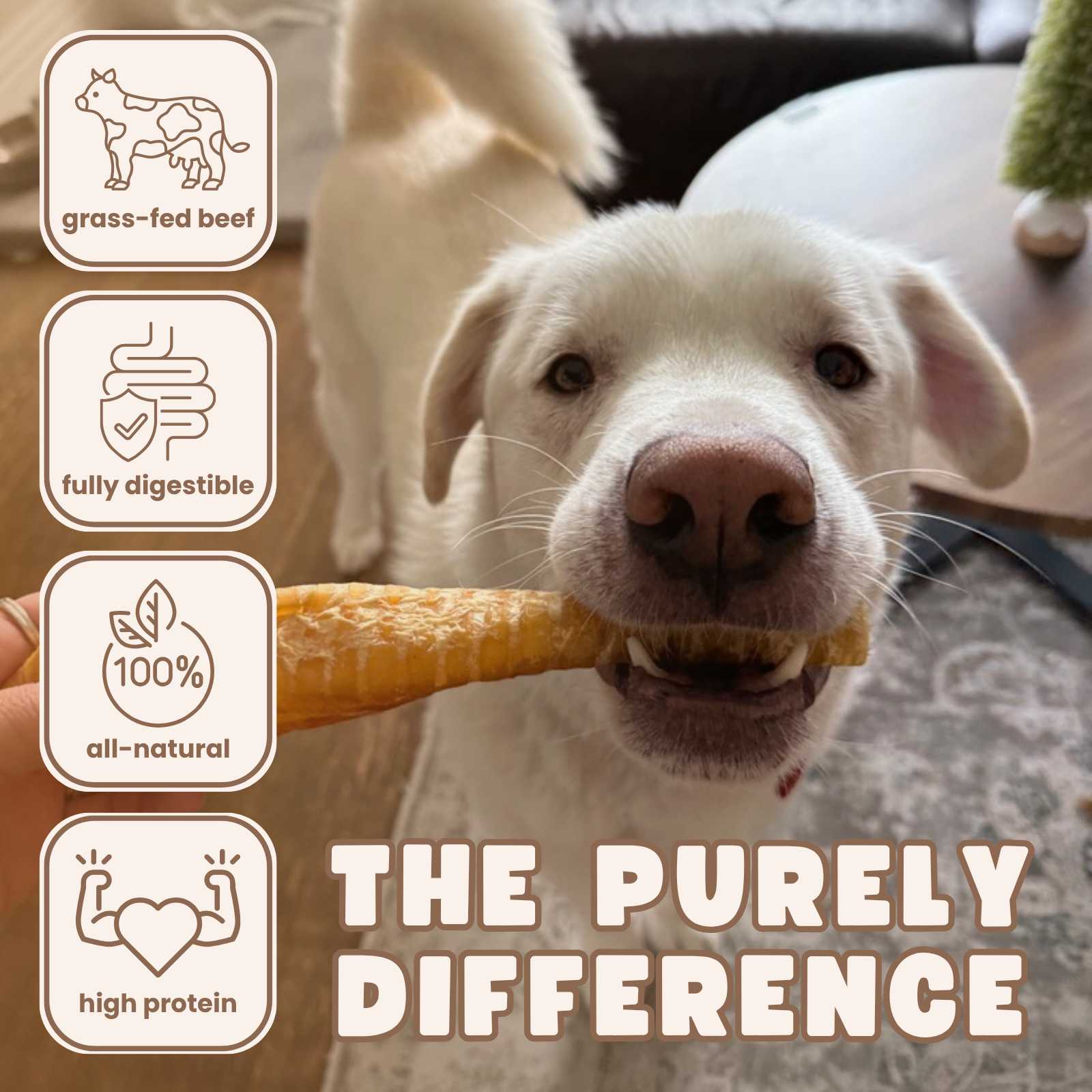 Purely Paws Beef Trachea