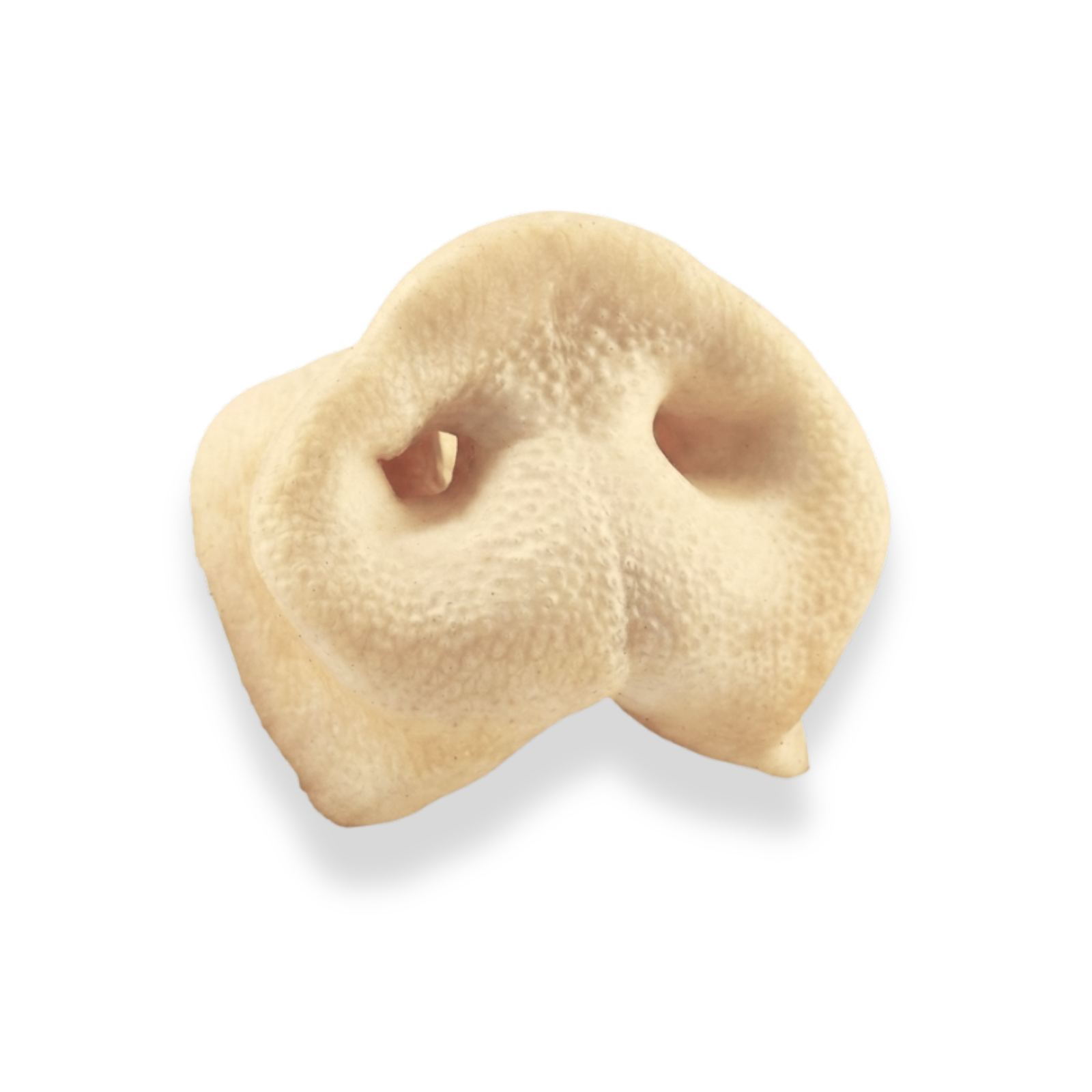 Purely Paws Pig Snouts