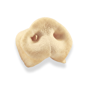 Purely Paws Pig Snouts