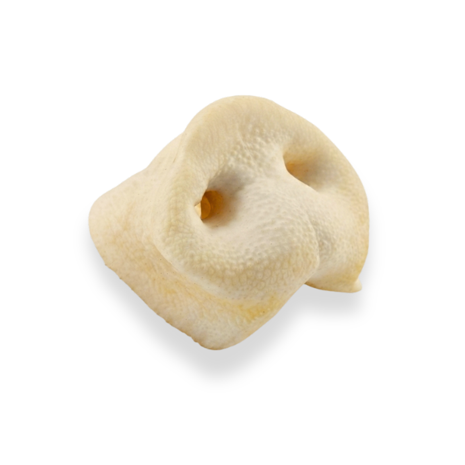Purely Paws Pig Snouts