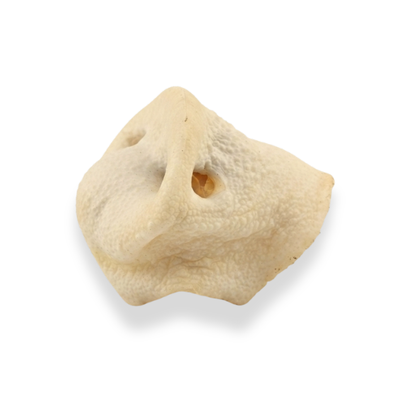 Purely Paws Pig Snouts