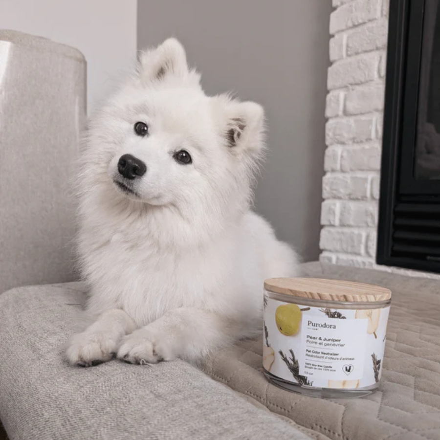 Purodora Lab Odor Neutralizer Soy Wax Candle