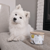 Purodora Lab Odor Neutralizer Soy Wax Candle