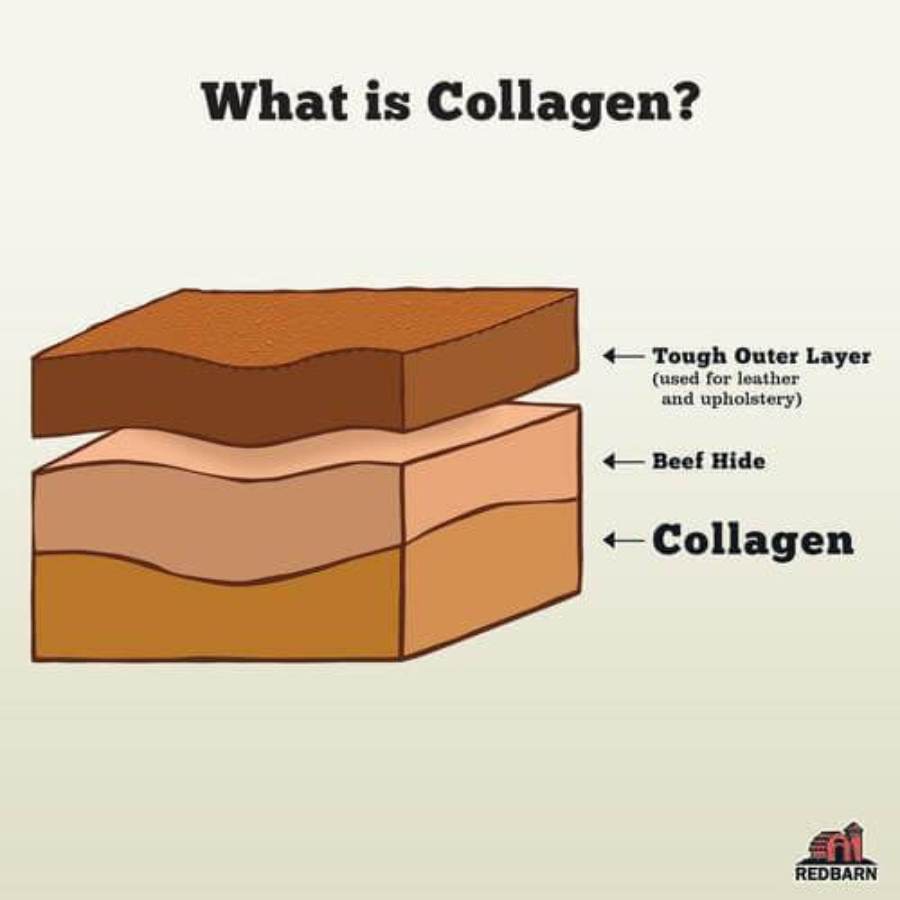 RedBarn Collagen Braided Ring