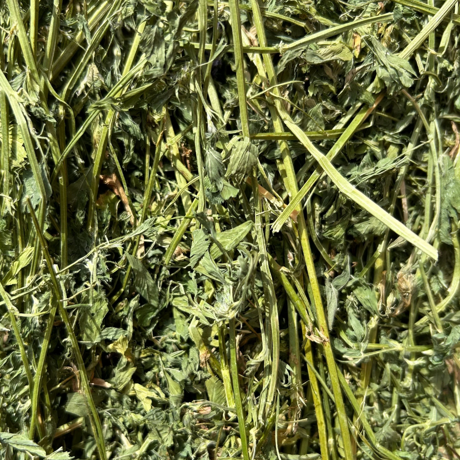 Round Lake Farm Alfalfa Hay