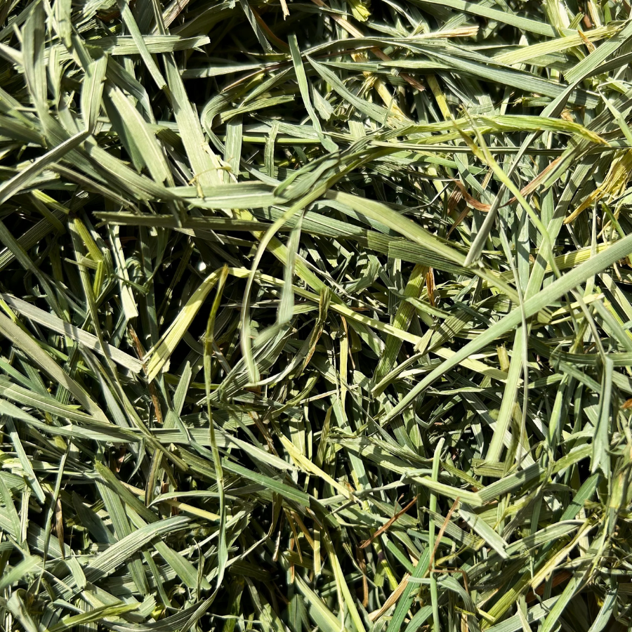 Round Lake Farm Orchard Grass Hay