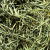 Round Lake Farm Orchard Grass Hay