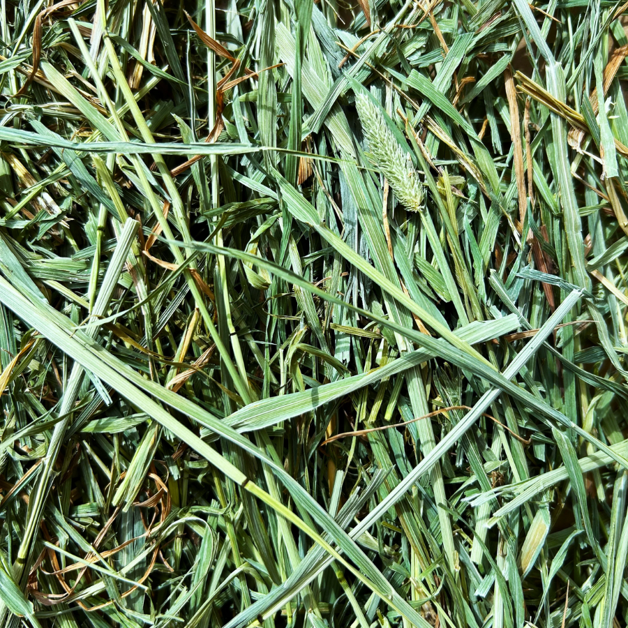 Round Lake Farm Timothy Hay