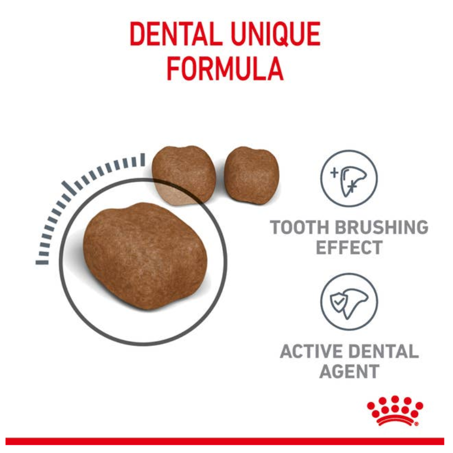Royal Canin Dental Care Cat Food