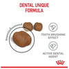 Royal Canin Dental Care Cat Food