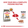 Royal Canin Large Sensitive Skin Care Dry Dog Food - 30 lbs