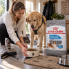 Royal Canin Weight Care Large Breed - 30 lbs