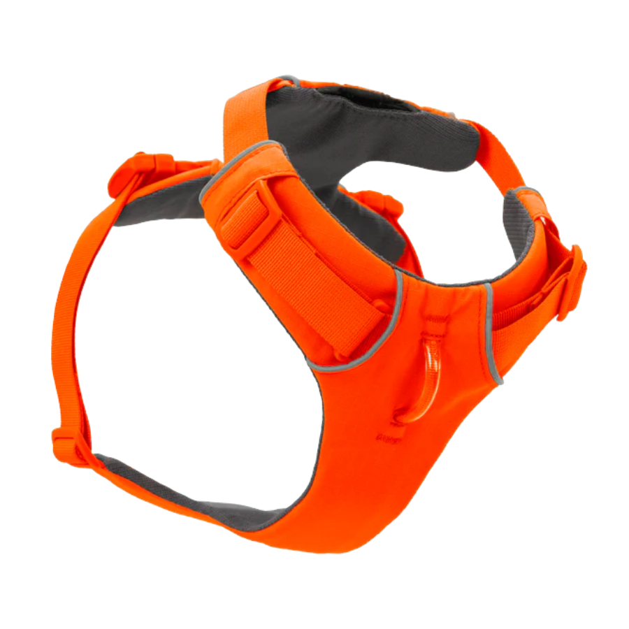 Ruffwear Front Range Dog Harness