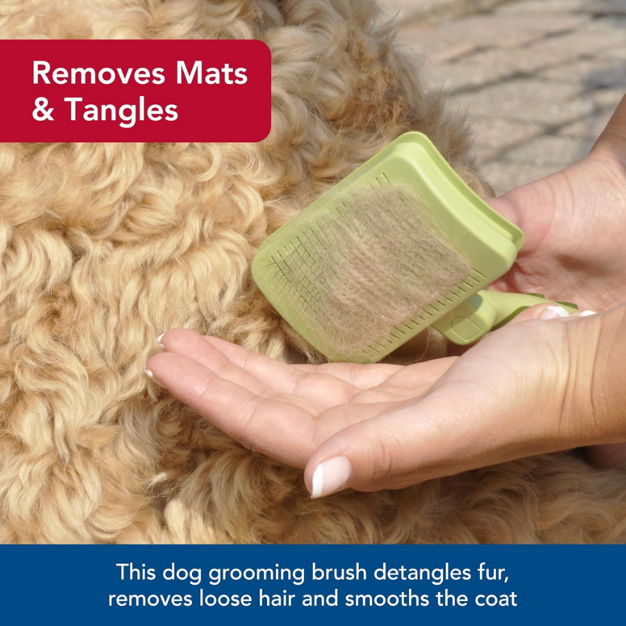 Safari Self Cleaning Slicker Brush