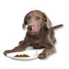 Smack Lip Smacking Lamb Raw Dehydrated Food for Dogs
