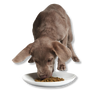 Smack Lip Smacking Lamb Raw Dehydrated Food for Dogs