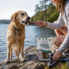 Snack 21 Wild Pacific Salmon Jerky Strips - 0.88 oz
