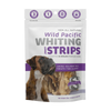 Snack 21 Wild Pacific Whiting Jerky Strips - 0.88 oz