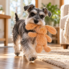Spot Cuddle Bunny Dog Toy - 13" (Assorted)