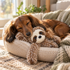 Spot Sloth Dog Toy - 7" (Assorted)