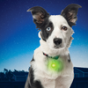 SpotLit Collar Light - Green