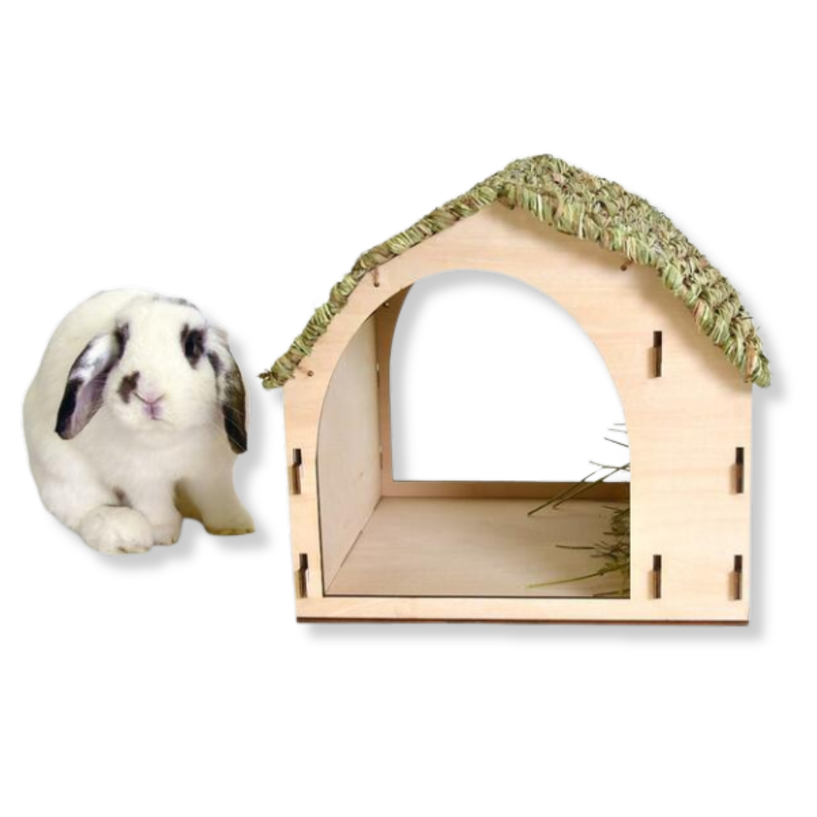 Stoter Farm Barn Pet House