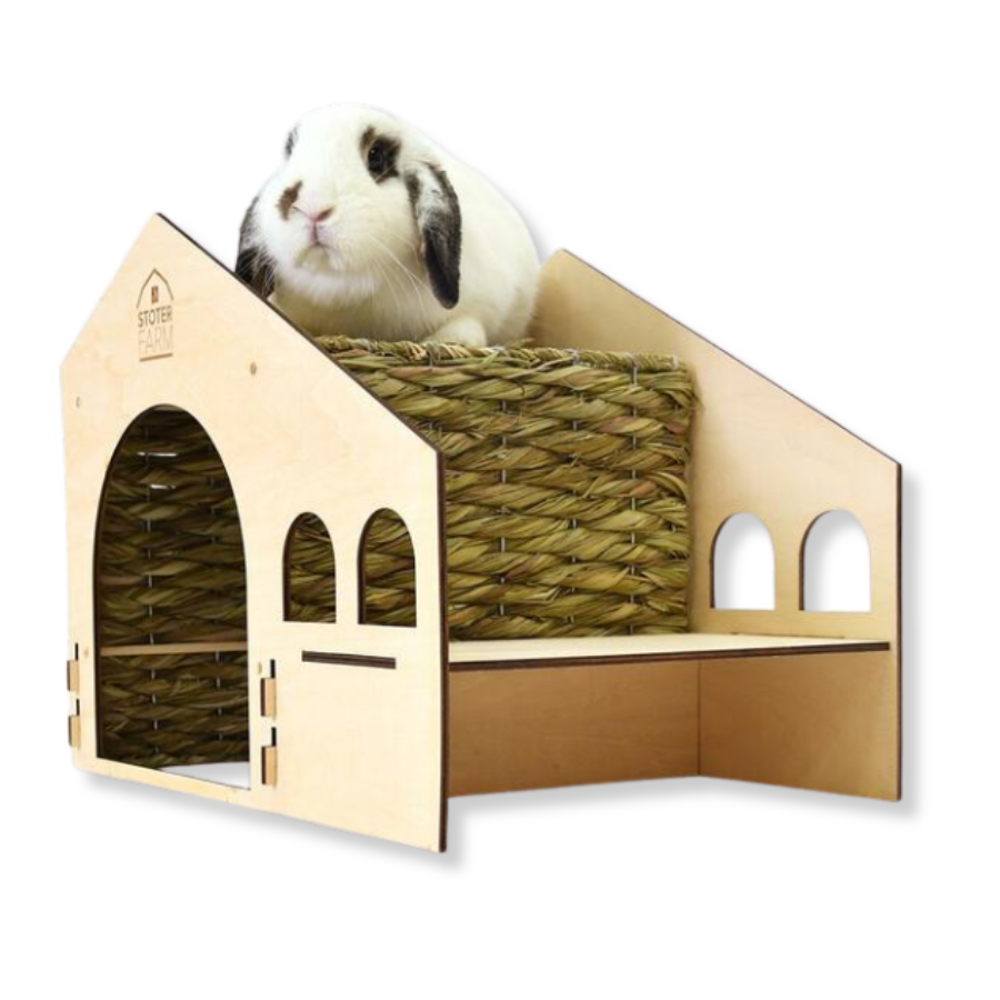 Stoter Farm Rooftop Condo Pet House