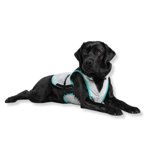 Suitical Dry Cooling Vest