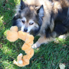 Smart Pet Love Tender Tuffs Brown Dog Toy