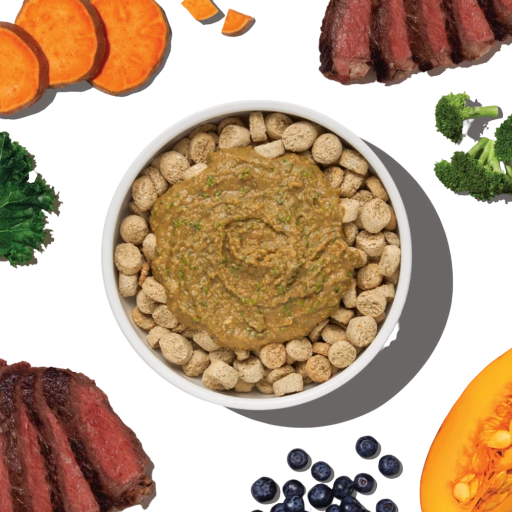 The Honest Kitchen Protein Plus+ Meal Topper Beef - 12 oz