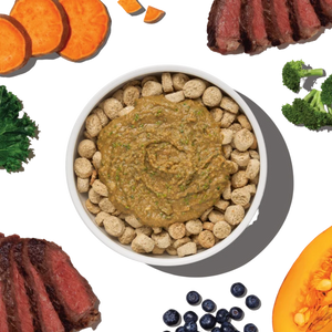 The Honest Kitchen Protein Plus+ Meal Topper Beef - 12 oz