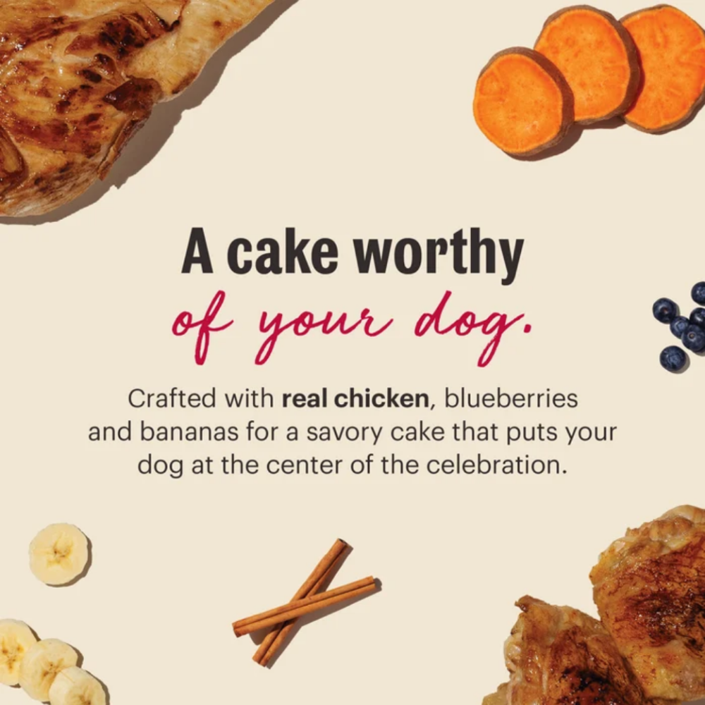The Honest Kitchen Birthday Cake Mix Chicken and Blueberries - 7.5 oz