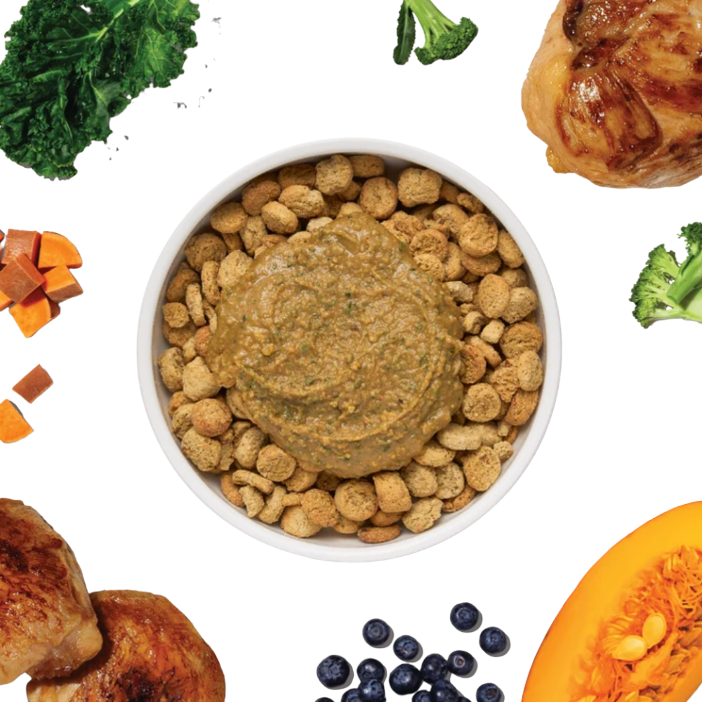 The Honest Kitchen Protein Plus+ Meal Topper Chicken - 12 oz