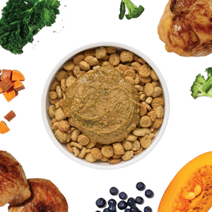 The Honest Kitchen Protein Plus+ Meal Topper Chicken - 12 oz