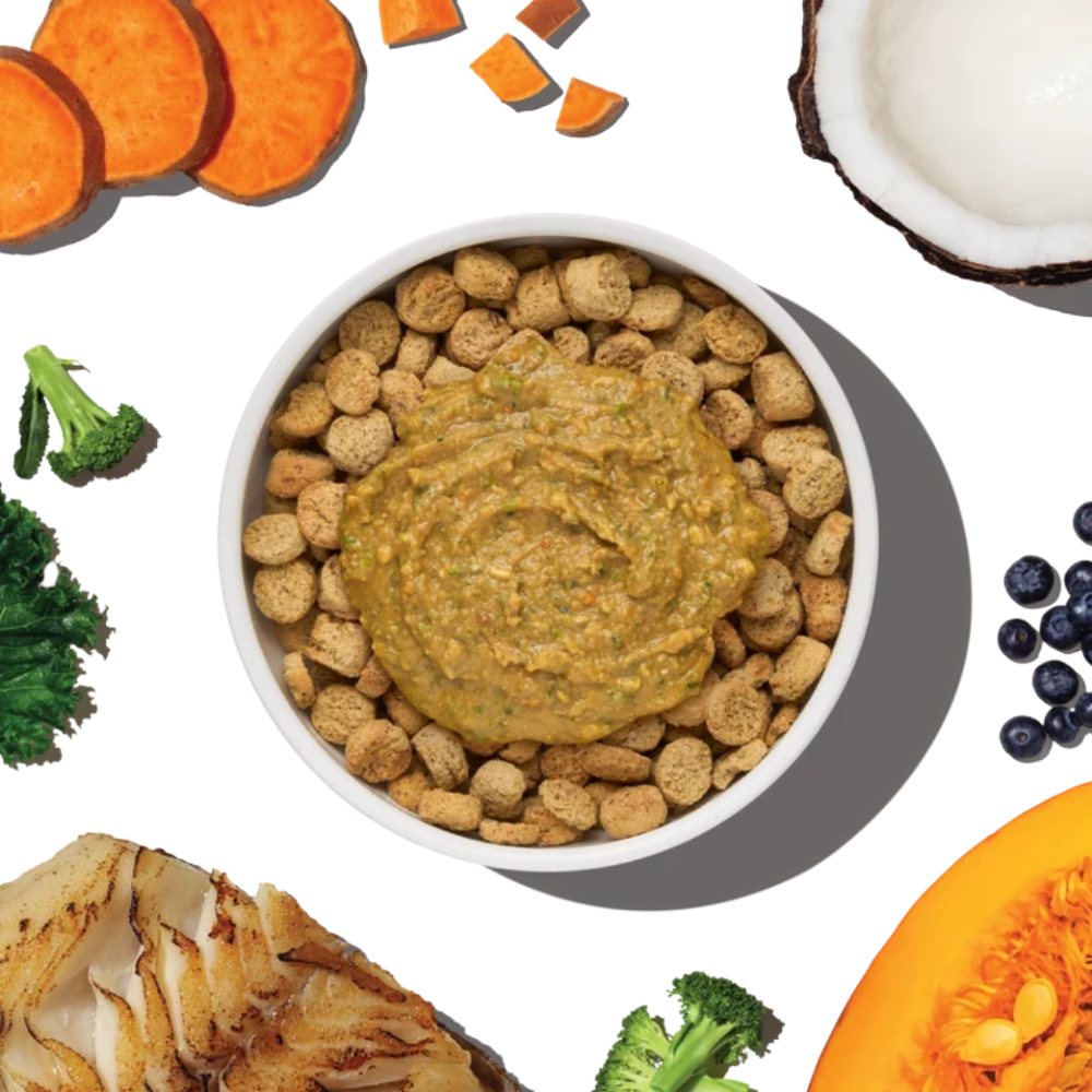 The Honest Kitchen Protein Plus+ Meal Topper Fish - 12 oz
