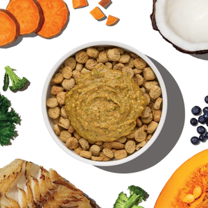 The Honest Kitchen Protein Plus+ Meal Topper Fish - 12 oz