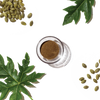 The Honest Kitchen Perfect Form Herbal Digestive Supplement