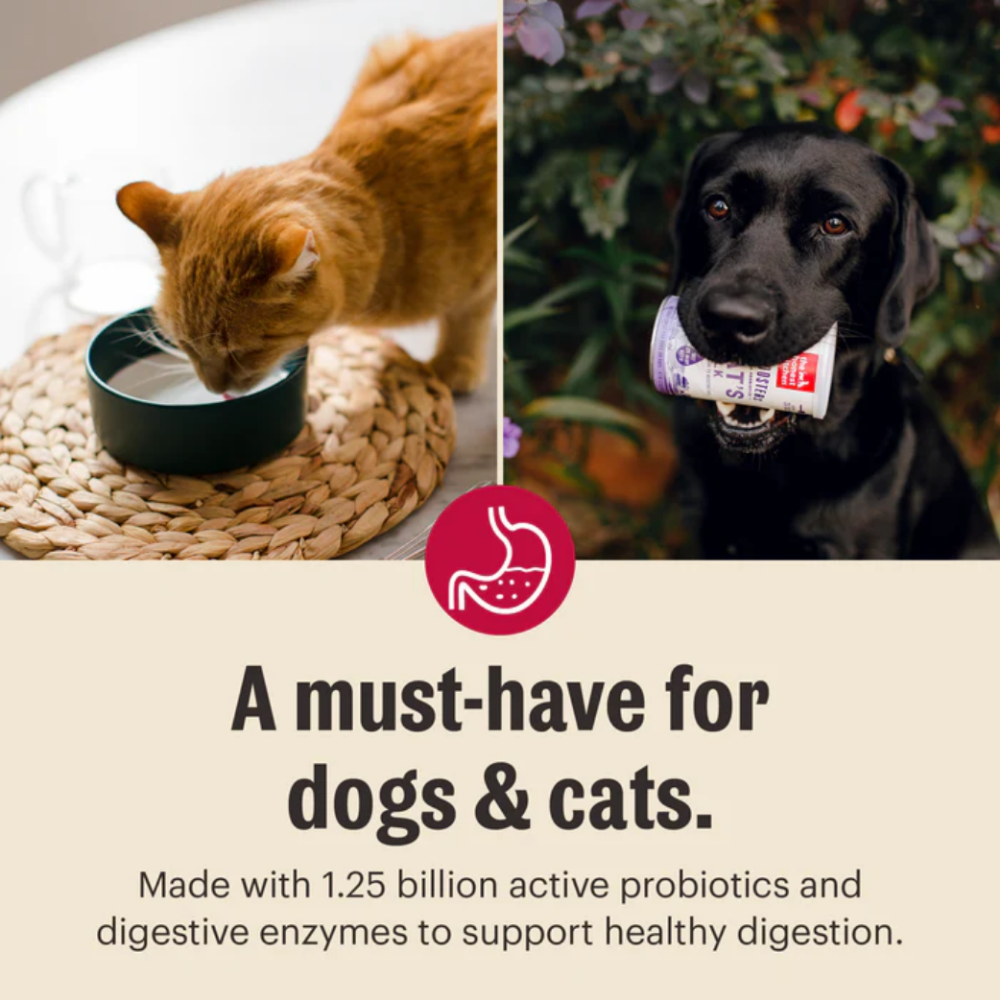 The Honest Kitchen Daily Boosters Instant Goat's Milk with Probiotics