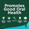 Vet's Best Dental Powder - 75 g
