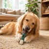 Woof BullySafe Bully Stick Holder