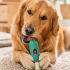 Woof BullySafe Bully Stick Holder