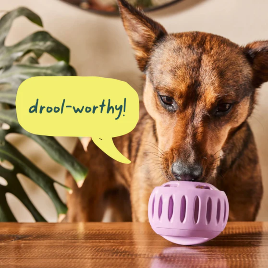 Woof Dog Pupsicle Enrichment Toy