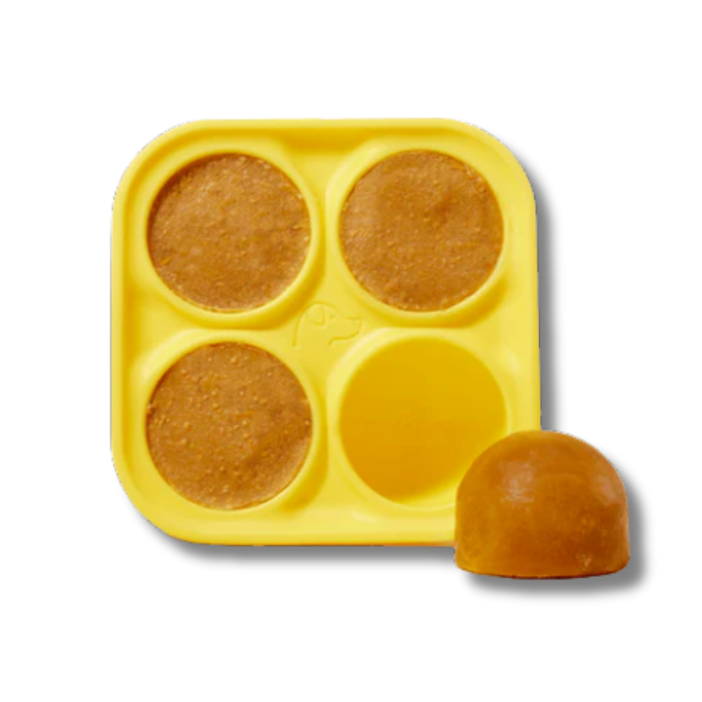 Woof Dog Pupsicle Treat Tray