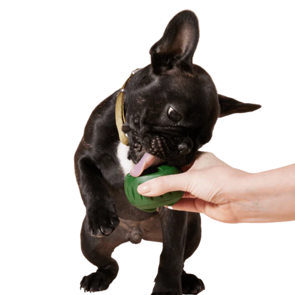 Woof Dog Pupsicle Treat Tray