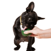 Woof Dog Pupsicle Treat Tray
