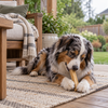 Himalayan Pet Supply Original Cheese Dog Chew