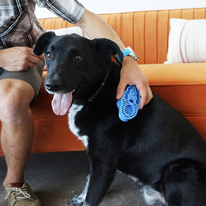 KONG Zoom Groom Blue